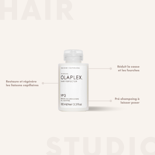 N°3 HAIR PERFECTOR